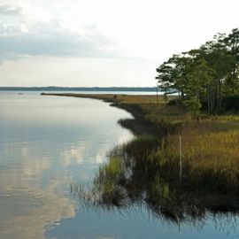 Weeks Bay National Estuarine Research Reserve